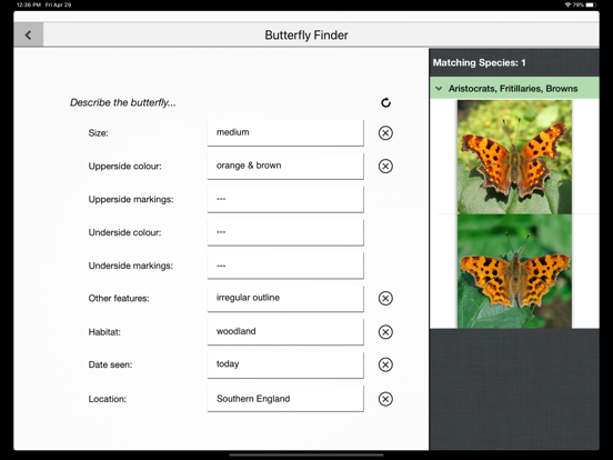 Butterfly Guide - Europe iPad app afbeelding 4