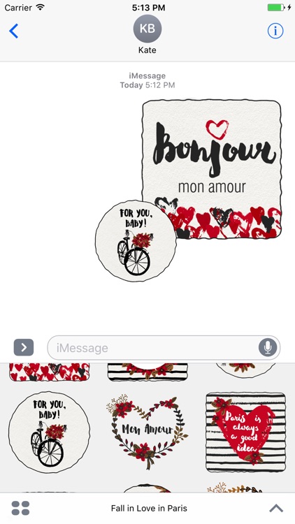 Fall in Love in Paris for iMessage Stickers screenshot-3