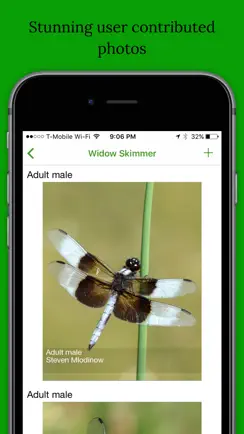 Dragonfly Damselfly ID App iPhone image 2