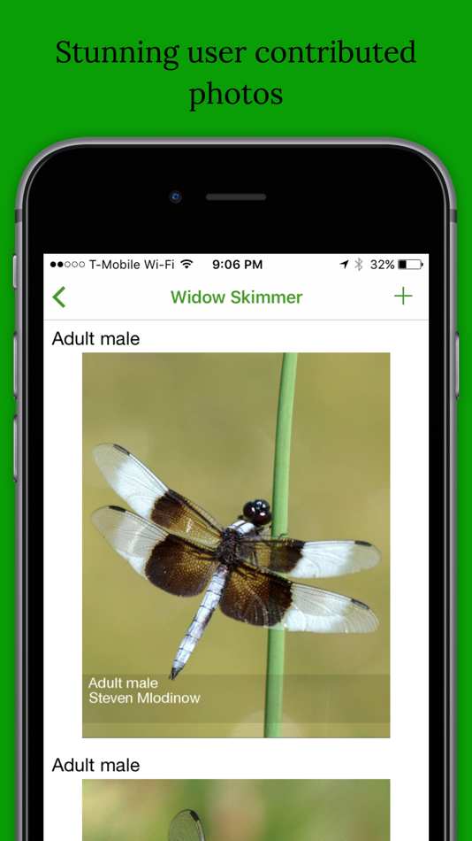 #2. Dragonfly Damselfly ID App (iOS) 来自: Birds In The Hand, LLC