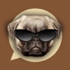 Icon Emoji My Dog: Make Custom Emojis of Dogs Photos