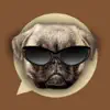 Similar Emoji My Dog: Make Custom Emojis of Dogs Photos Apps