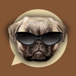 Download Emoji My Dog: Make Custom Emojis of Dogs Photos app