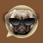 Emoji My Dog: Make Custom Emojis of Dogs Photos App Cancel