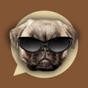 Emoji My Dog: Make Custom Emojis of Dogs Photos app download