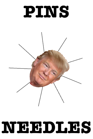 aa-ff : Pin Trump Edition - náhled