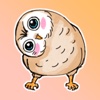 Funny Owl Stickers