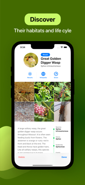 ‎Insect Identifier Screenshot