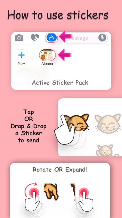 Yellow Cats by Kappboom