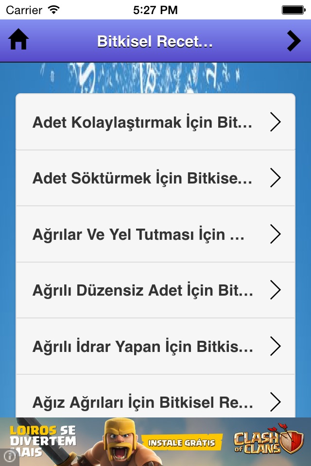 Bitkisel Reçeteler screenshot 2