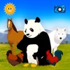 Animal world: Farm & Wildlife icon