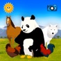 Animal world: Farm & Wildlife app download