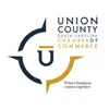 Union County CC App Feedback