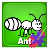 Draw For Kid Ant For Kid