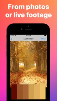 color palettes - find & create iphone screenshot 2