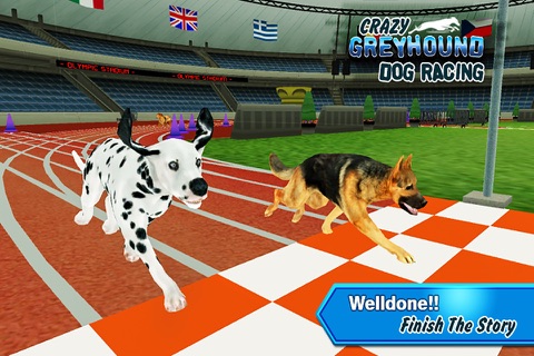 Crazy Greyhound Dog Racing screenshot 4