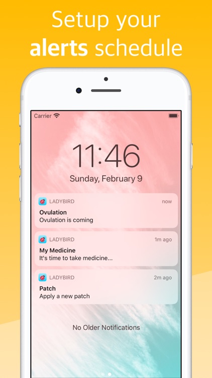 Ladybird - Period Tracker screenshot-6