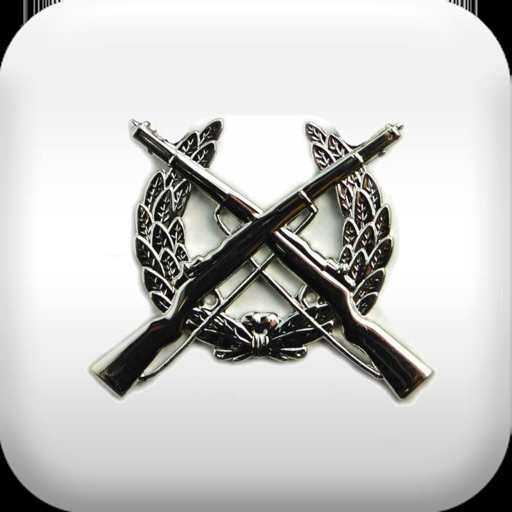 WW2 Infantry Weapons