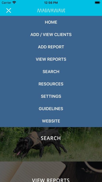 Magna Wave screenshot-3