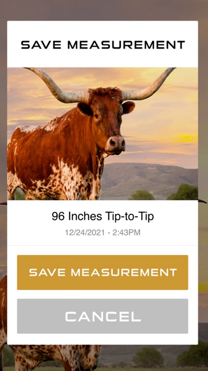 TTT Longhorn Tape Measure screenshot-3