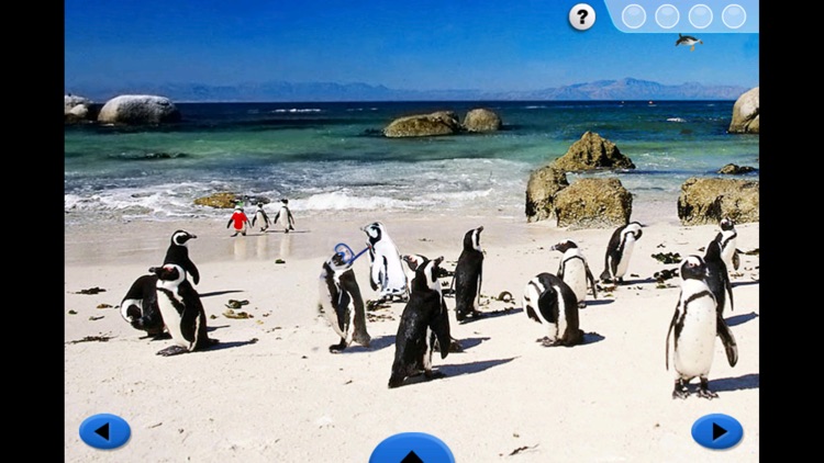 SeaWorld: Penguin Pals screenshot-3