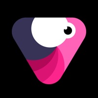 Velomingo: Velocity Edit Maker apk