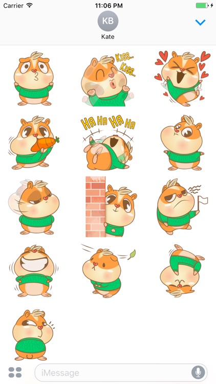 Denley The Cutie Hamster