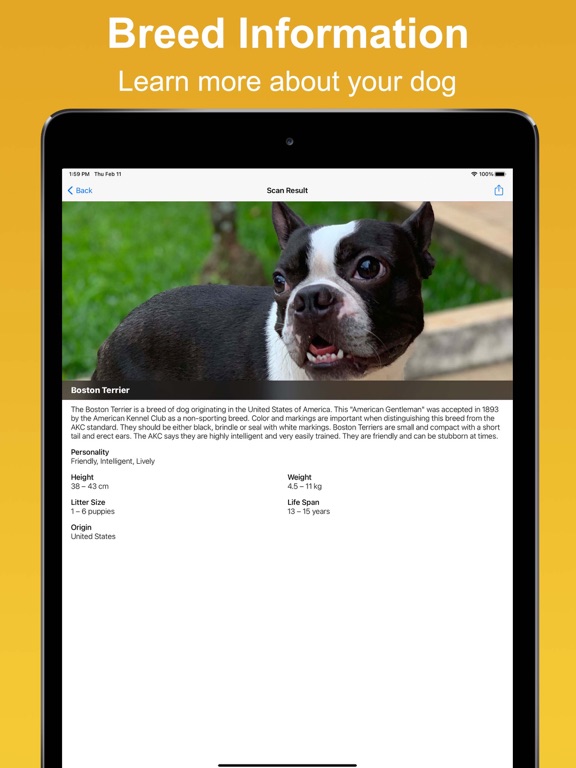 Screenshot #5 pour Dog Scan - Identify Breeds