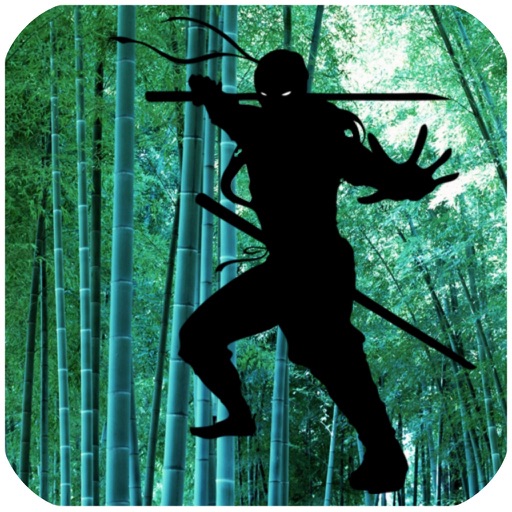 Shadow Master Fight iOS App