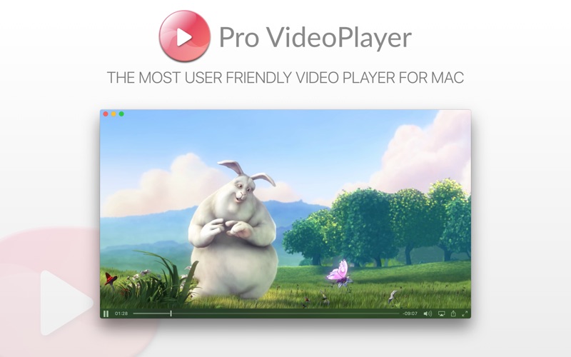 Screenshot #1 pour Pro VideoPlayer