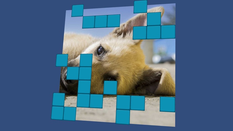 Wordsearch Revealer Puppies screenshot-3