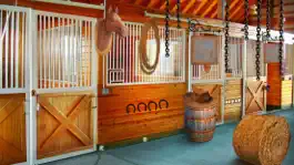 Game screenshot Escape Game: Stud Farm mod apk