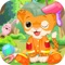 Baby Lion - Pet Care And Makeup