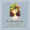 Kalanchoe icon
