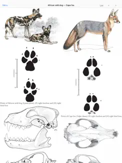 Mammals of the Southern African Subregion iPad image 3