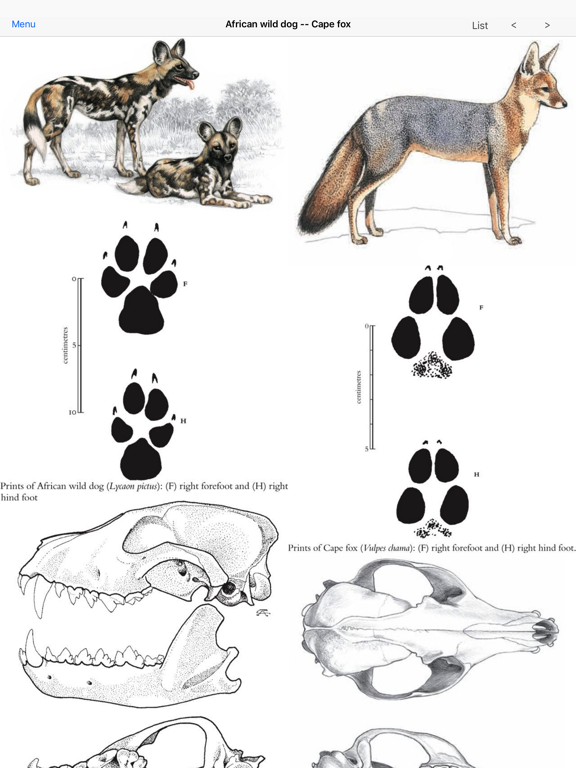 Screenshot #6 pour Mammals of the Southern African Subregion