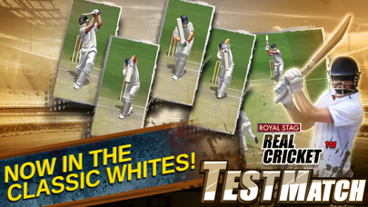 Real Cricket™ Test Matchのおすすめ画像2
