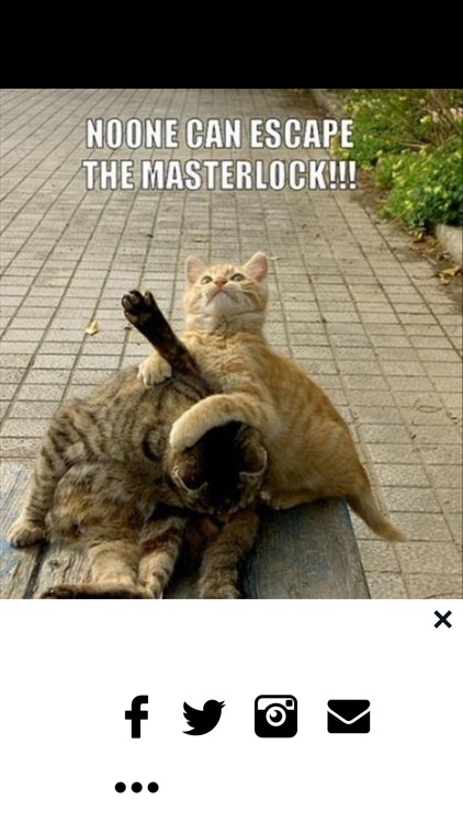 Funny Pics - Daily Quotes, LOL Picture, Wallpapers screenshot-4