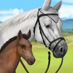 Breed horses and manage an equestrian center Howrse