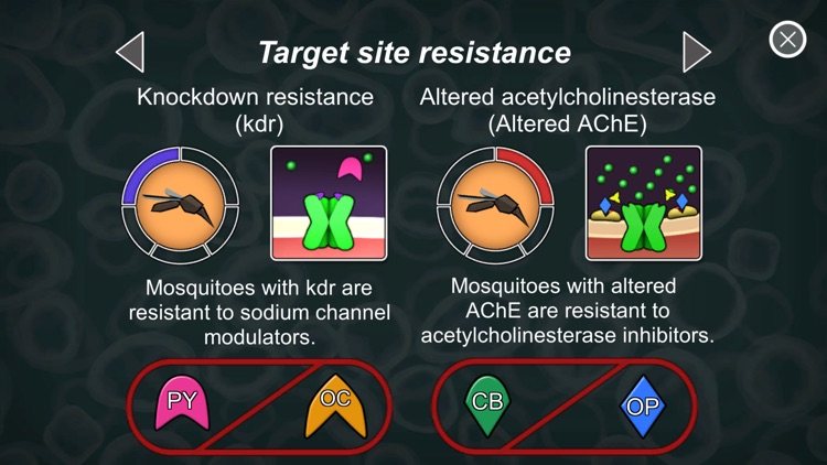 Resistance 101 screenshot-3