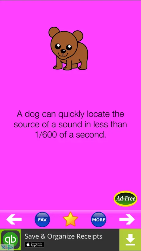 Animal Fun Facts
