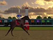 derby quest: horse manager айпад изображения 4