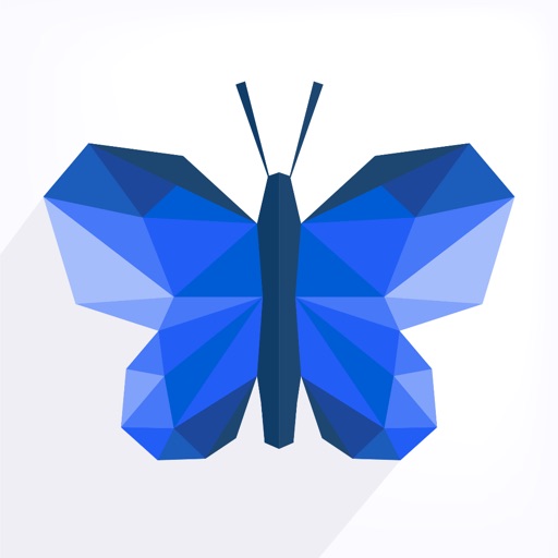 Morpho Converter icon