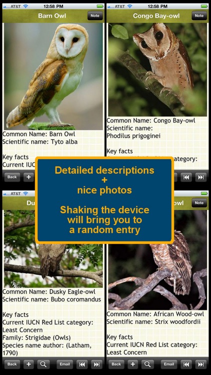 Owls Encyclopedia Plus+