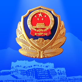 螢幕擷取畫面 (3) 西藏公安政务服务