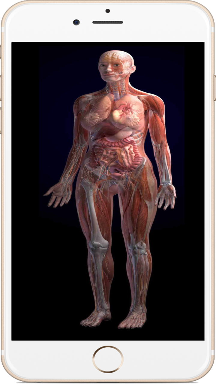 全套人体解剖 screenshot 5