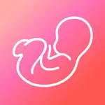 WeMoms - Pregnancy & Baby App App Alternatives