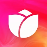 Download Bloom: Learn to Invest app