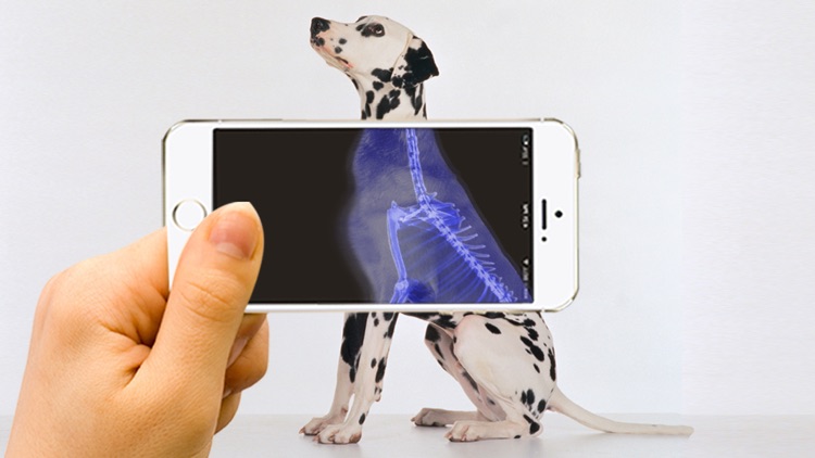 Xray Animal Scanner