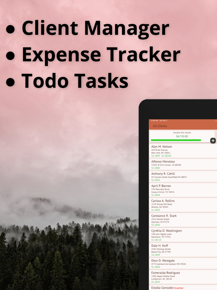 Business Manager Gig-Services